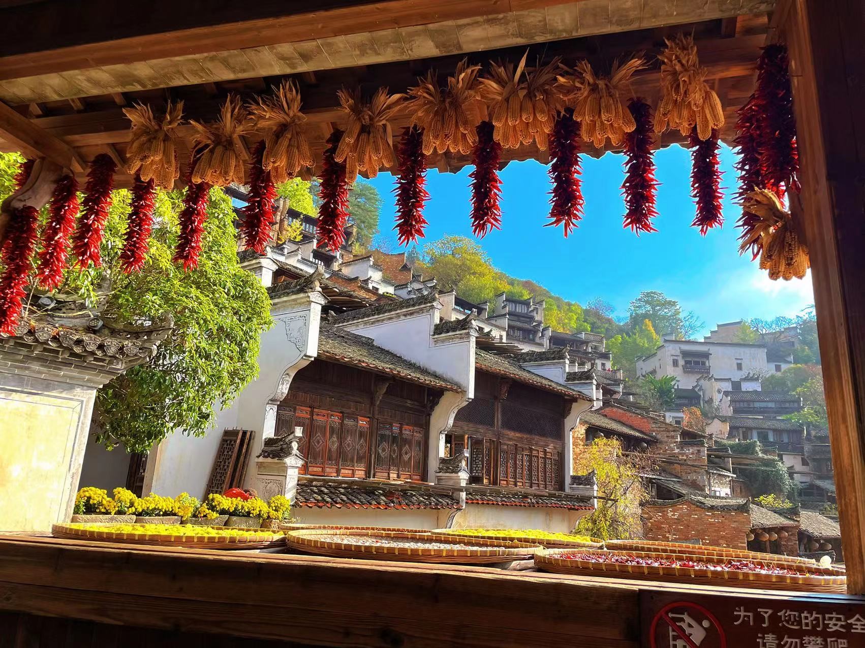 上海团队团建