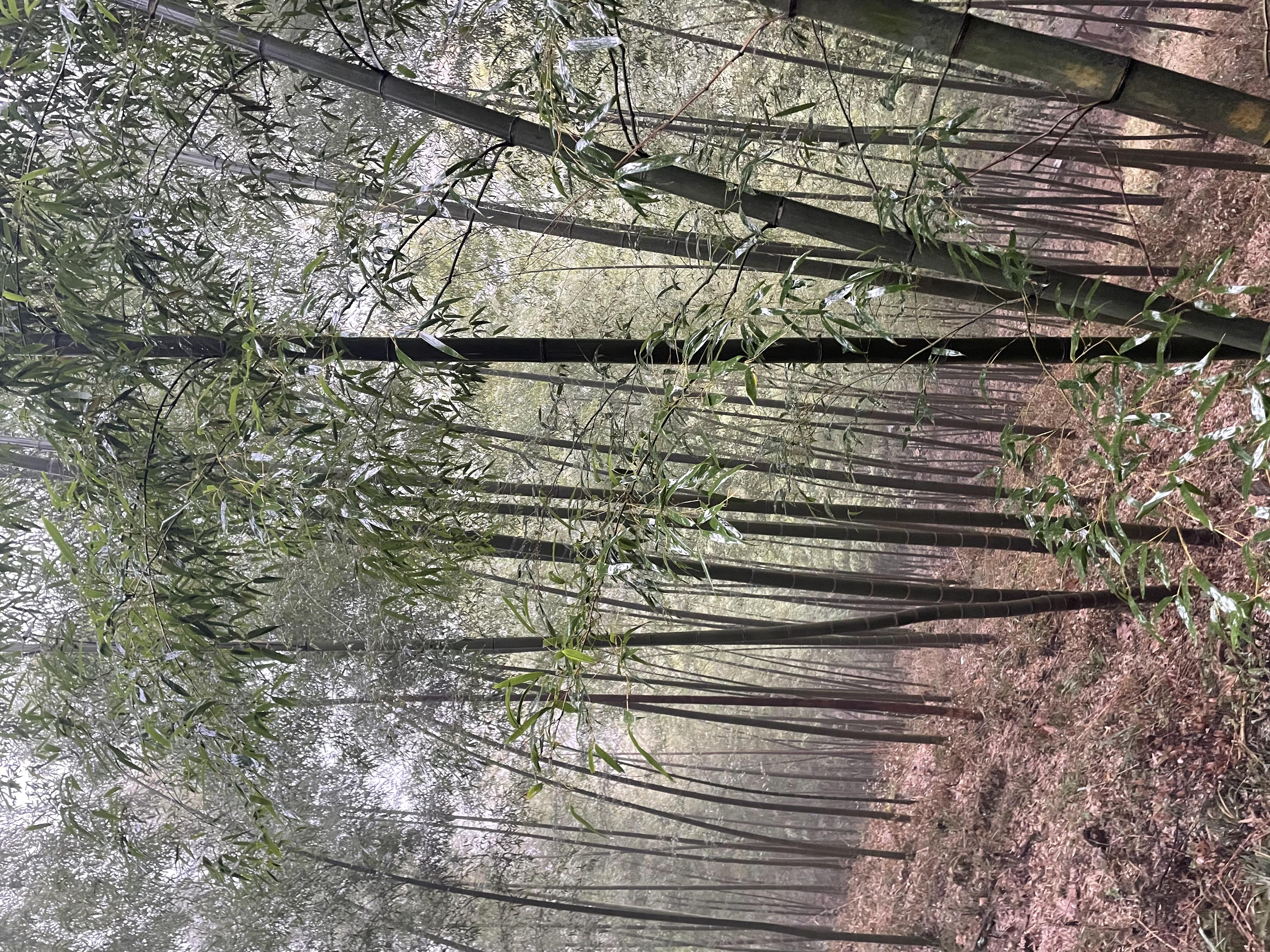 生信科技年会盛典圆满举行